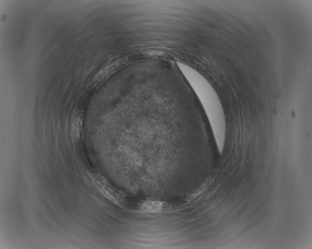 X0000081600227200702121557