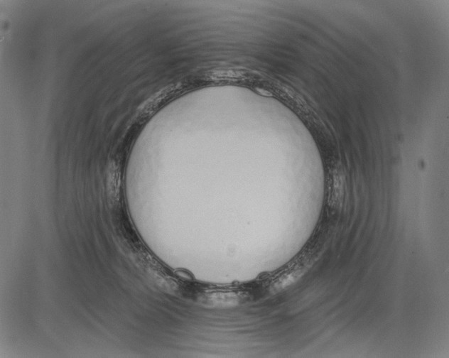 X0000081600228200702121557