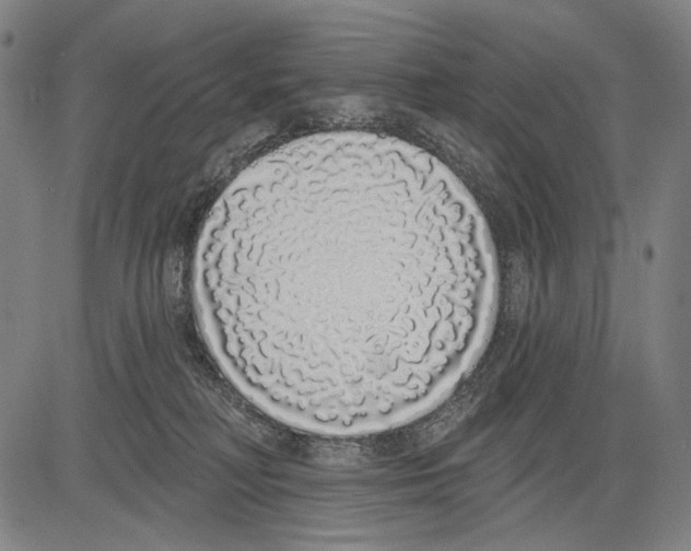 X0000081600230200702121557