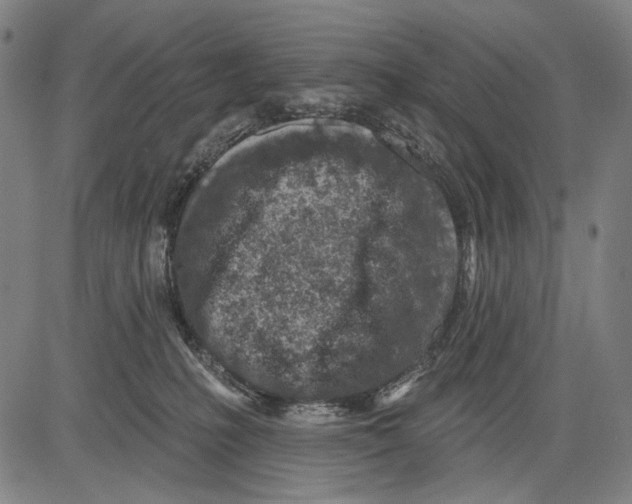 X0000081600231200702121557