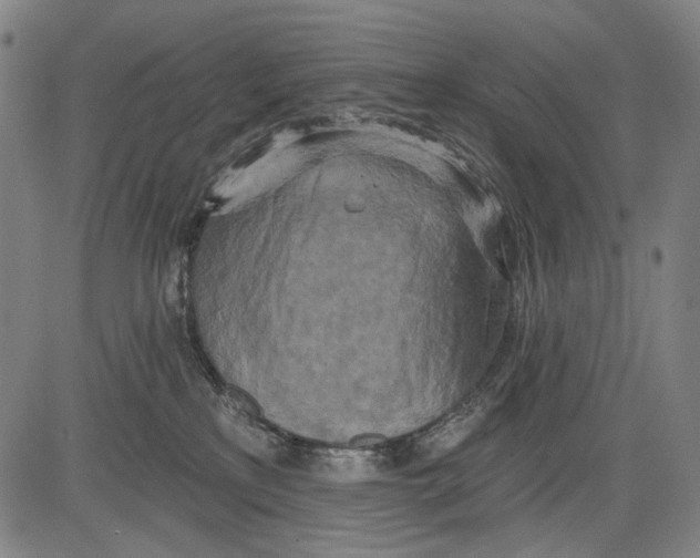 X0000081600233200702121557