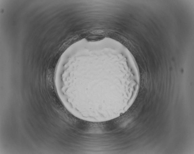 X0000081600234200702121557