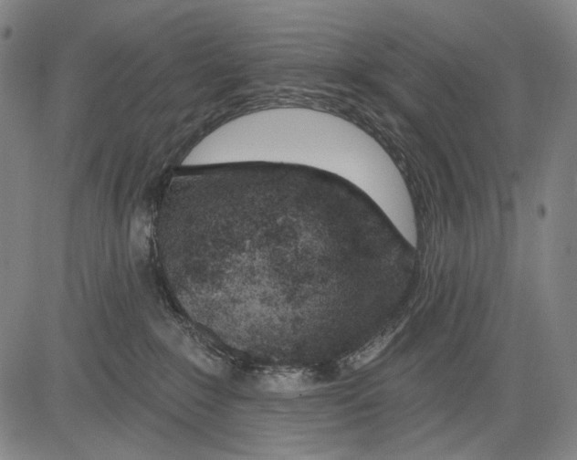 X0000081600235200702121557