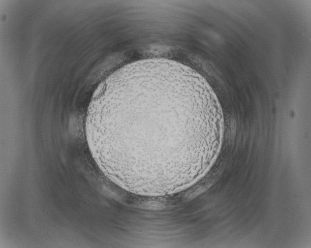 X0000081600236200702121557