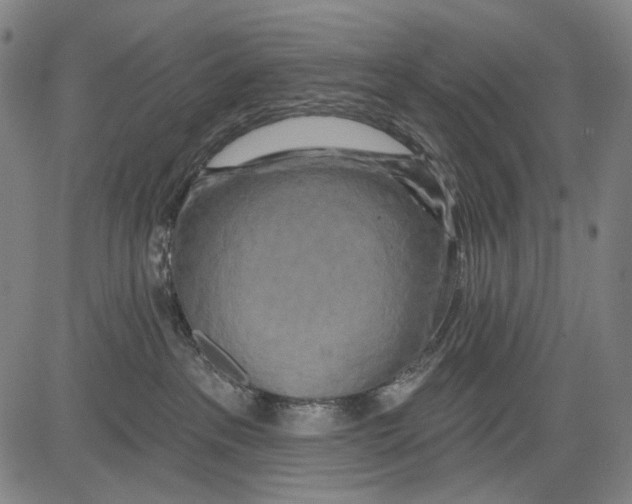 X0000081600237200702121557