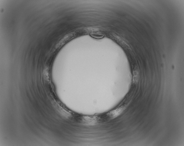 X0000081600238200702121557