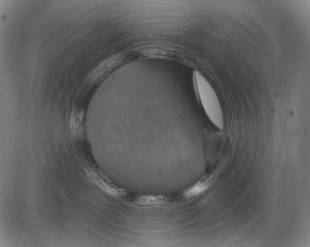 X0000081600239200702121557