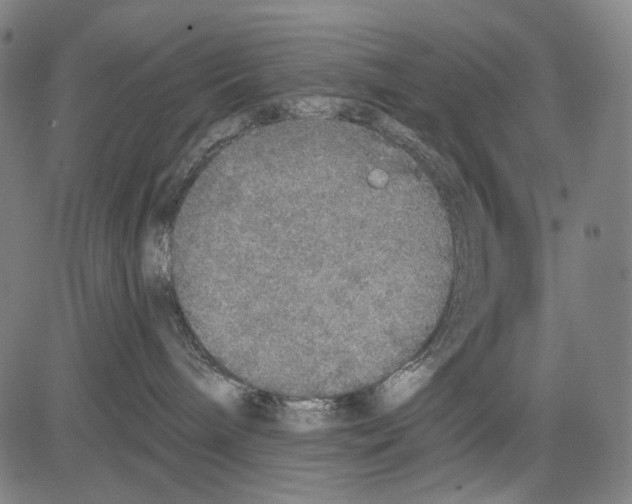 X0000081600240200702121557