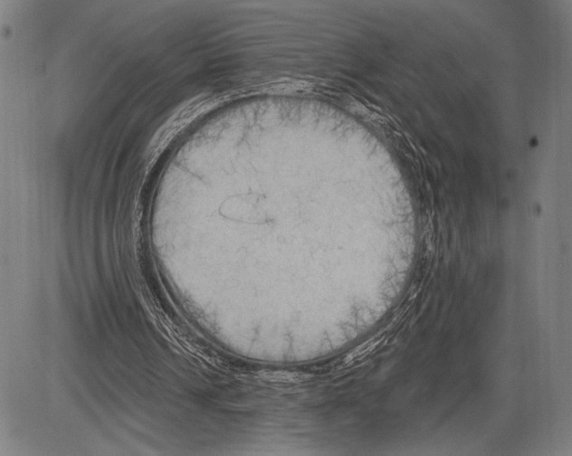 X0000081600242200702121556