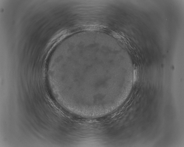 X0000081600243200702121556