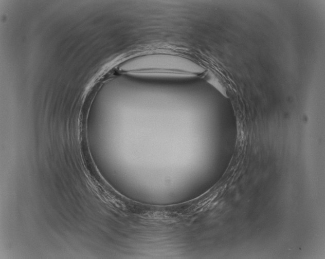 X0000081600244200702121556