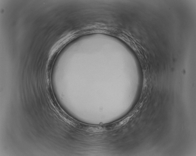 X0000081600245200702121556