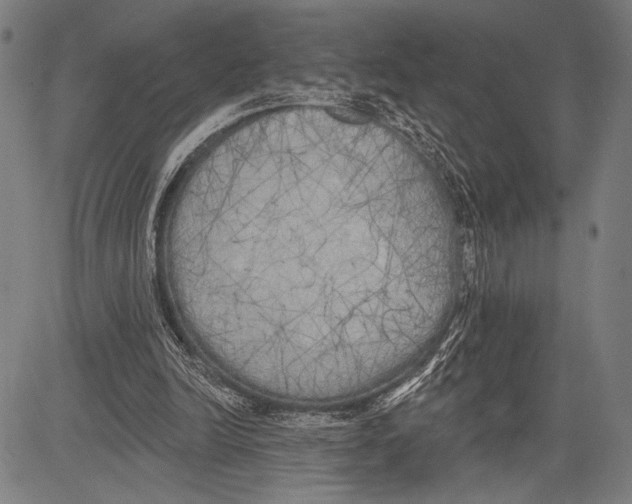 X0000081600246200702121556