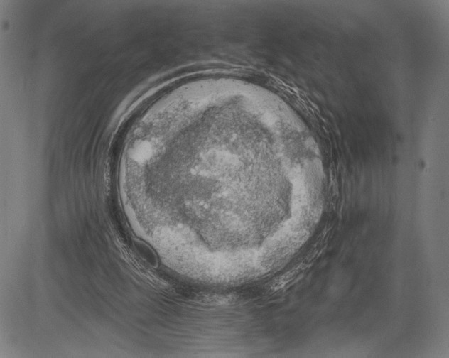 X0000081600247200702121556