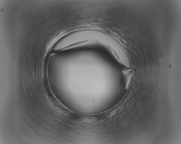 X0000081600248200702121556