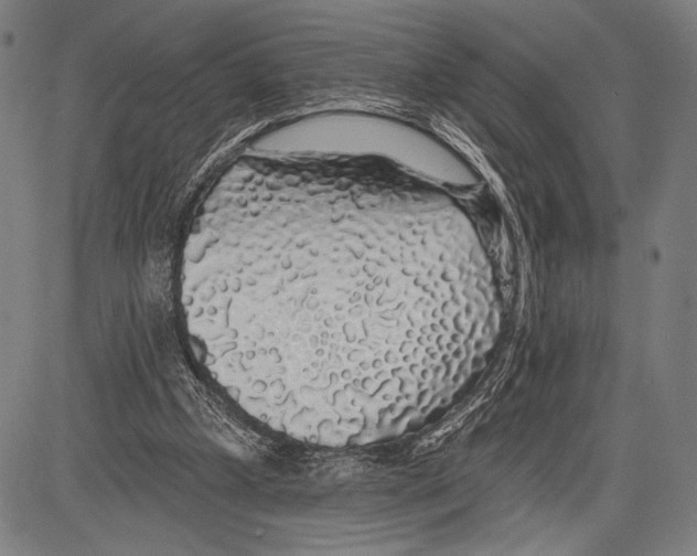 X0000081600249200702121556