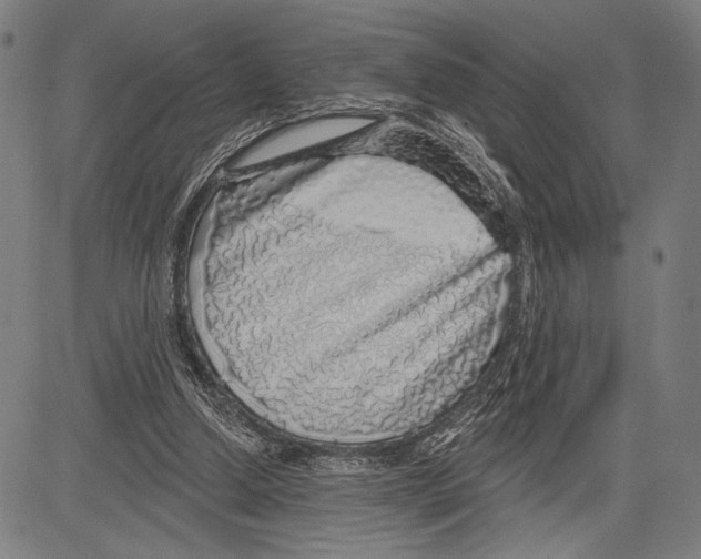 X0000081600250200702121556