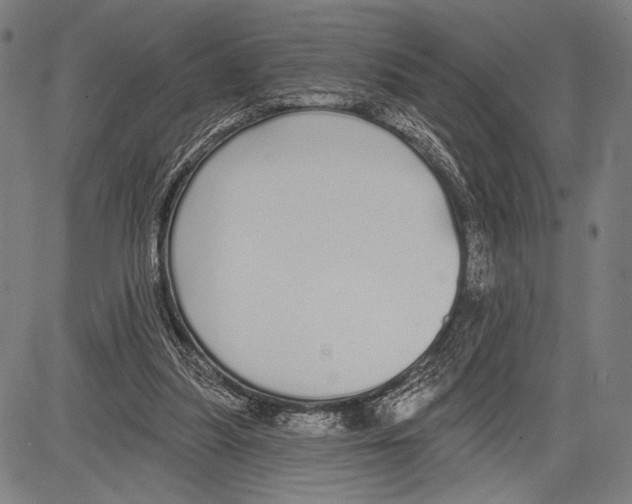 X0000081600251200702121556