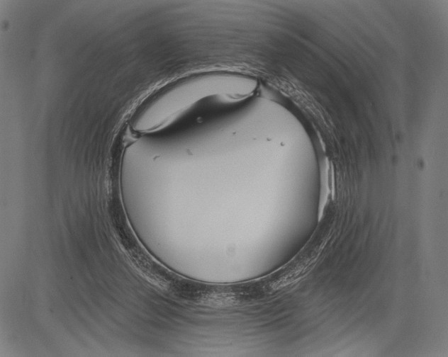 X0000081600252200702121556