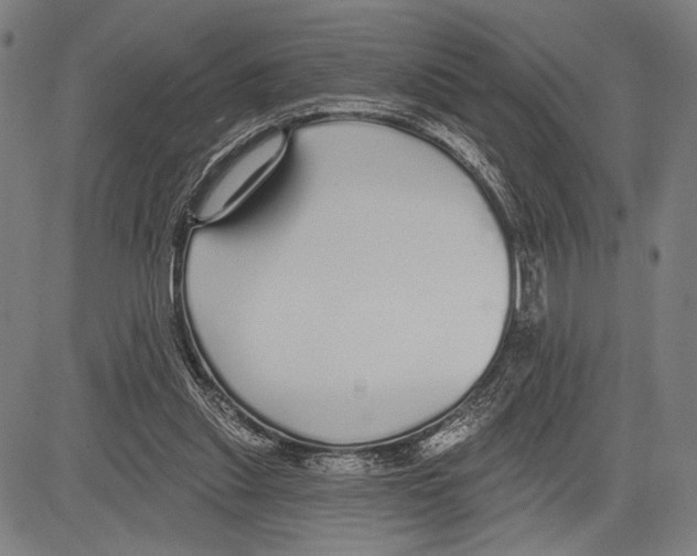 X0000081600253200702121556