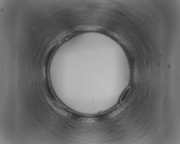 X0000081600254200702121556