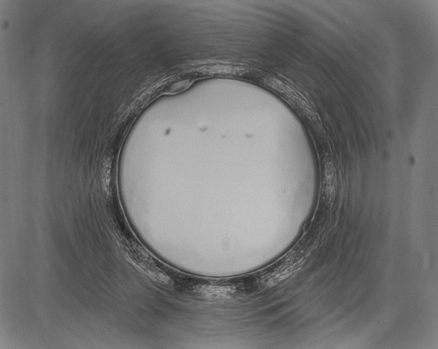 X0000081600255200702121556