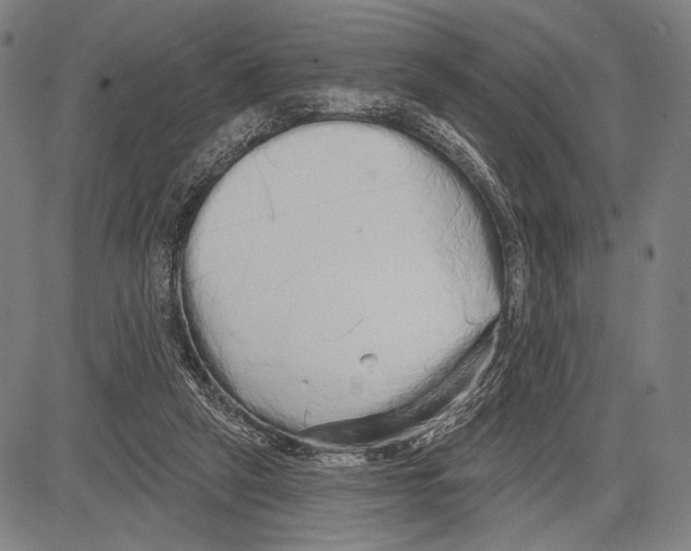 X0000081600257200702121556