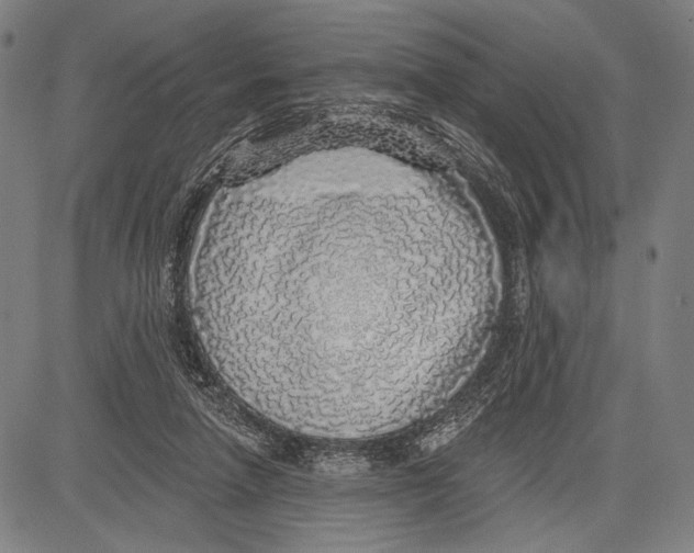 X0000081600258200702121556