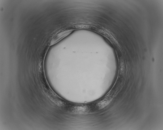 X0000081600259200702121556