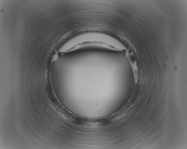 X0000081600260200702121556