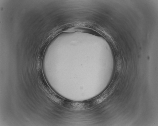 X0000081600261200702121556