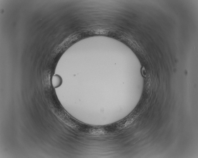 X0000081600262200702121557