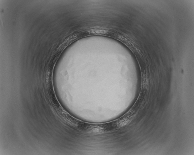 X0000081600263200702121557