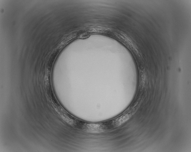 X0000081600265200702121557