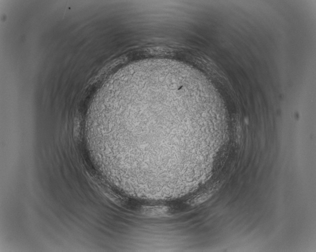 X0000081600266200702121557