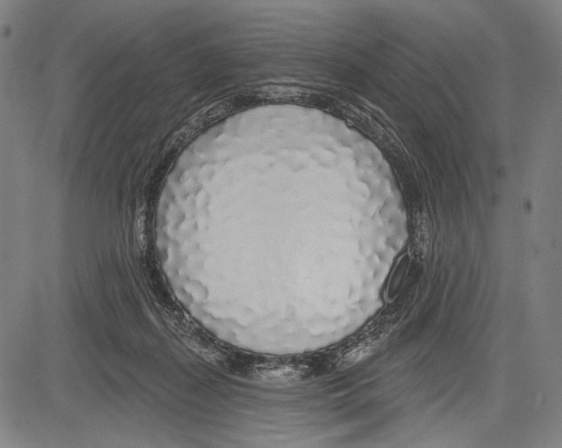 X0000081600267200702121557