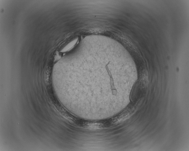 X0000081600268200702121557