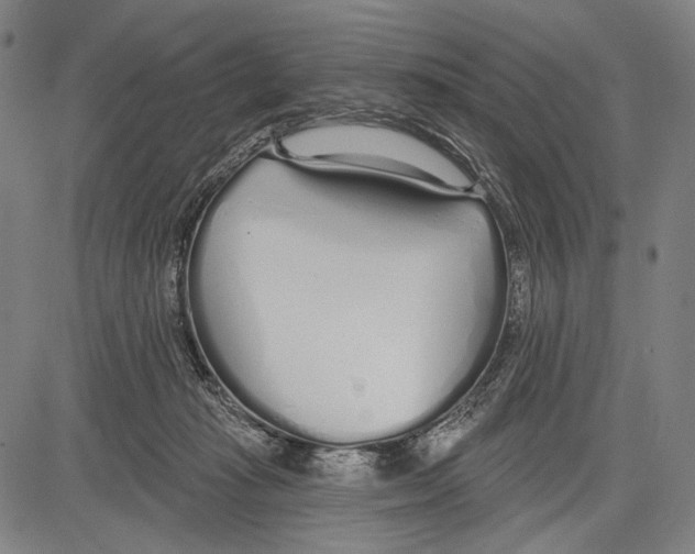 X0000081600269200702121557