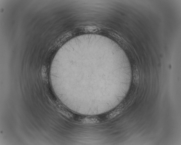 X0000081600270200702121557