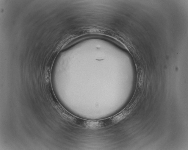 X0000081600273200702121557