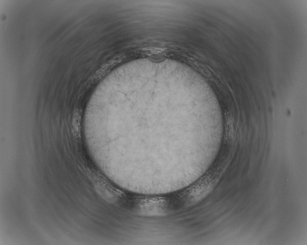 X0000081600274200702121557