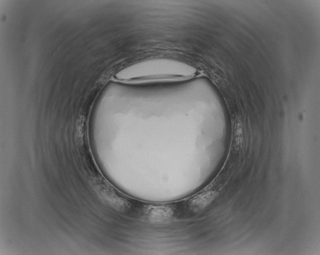 X0000081600275200702121557