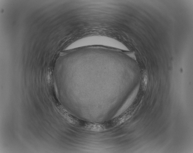 X0000081600276200702121557