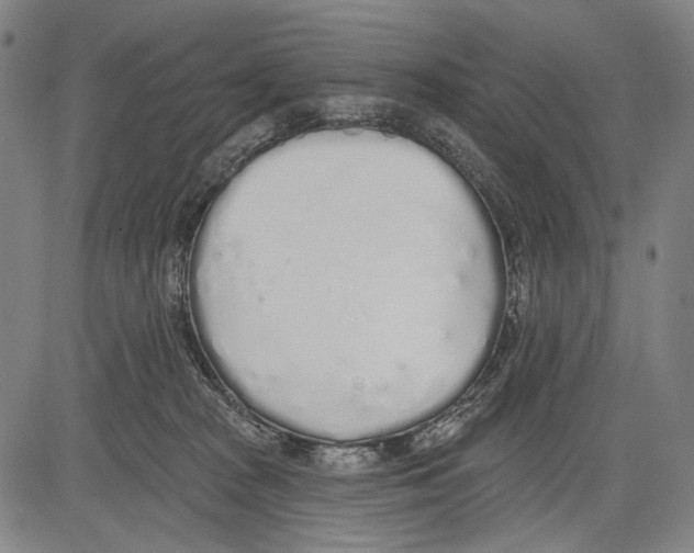 X0000081600277200702121557