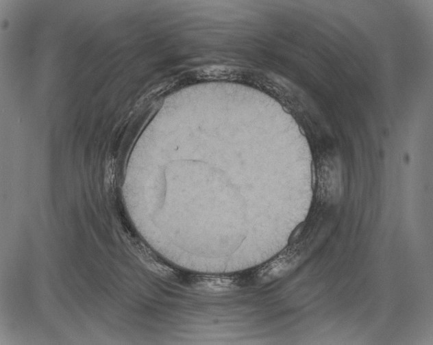 X0000081600278200702121557