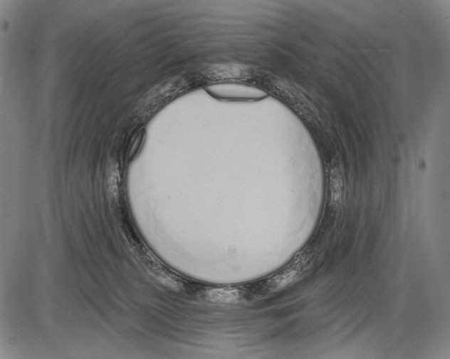 X0000081600279200702121557