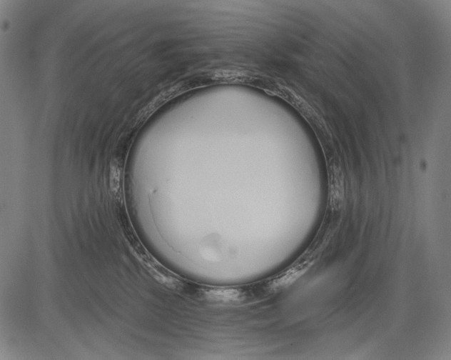 X0000081600281200702121557