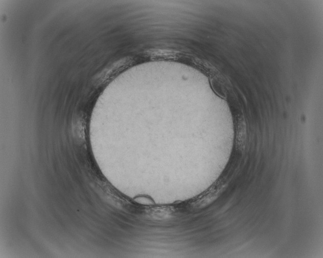 X0000081600282200702121557