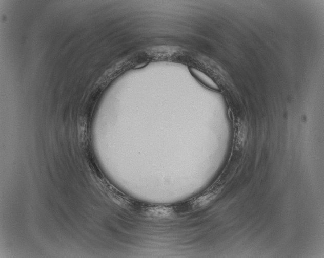 X0000081600283200702121557