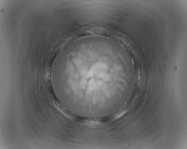 X0000081600284200702121557